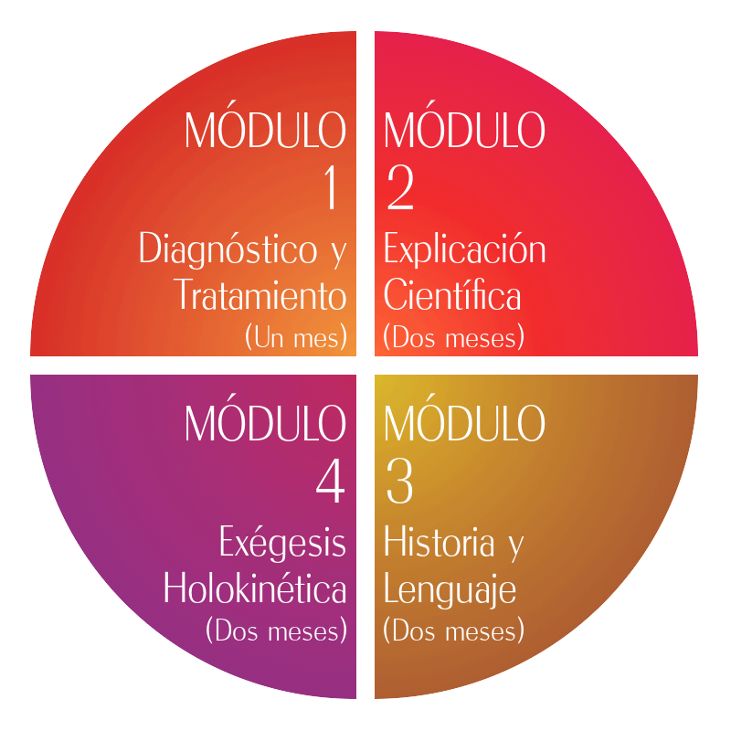 Los cuatro módulos del curso